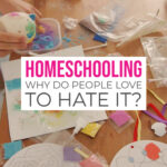 Some People Don't Get Home Schooling Homeschooling Why do people love to hate it against don't home school