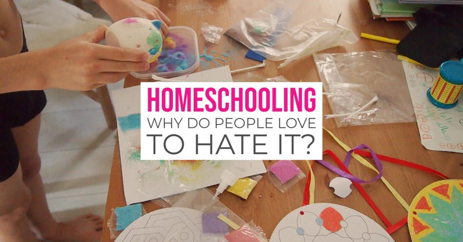 Homeschooling Why do people love to hate it against don't home school