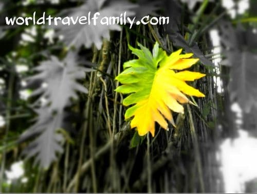 Packing anxiety. packing tips