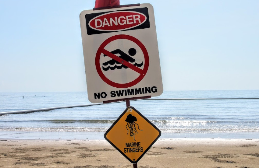 dangerous travel horror stories