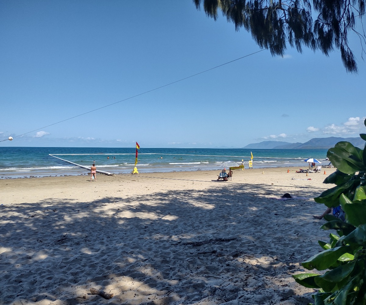 Four Mile Beach Port Douglas Stinger