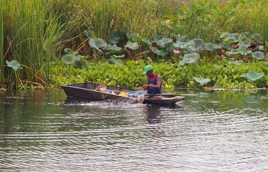 River Kwai fishing