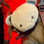 Backpacking with Kids Kids' toy bear in a backpack pocket