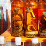 Luang Prabang Night Market and Day Markets snakes in whiskey for sale at Luang Prabang Markets