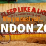 London Zoo