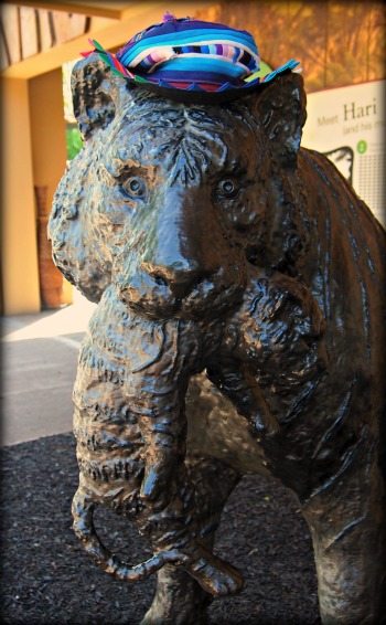 Visit London Zoo Tiger Breeding