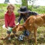 animal encounters 550