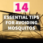 avoiding mosquitos