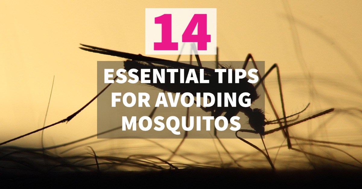 avoiding mosquitos
