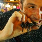 Deep fried tarantulas.Night Market Siem Reap