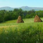 A meadow in a Romanian village