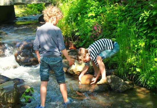 Dam building in the stream that flows through the river in Romania