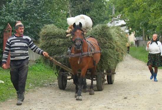 Romanian village life. A typical Romanian horse and cart, loaded with hay for the milking cows.
