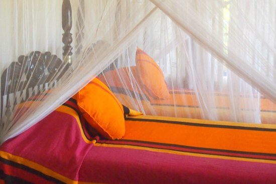 Downstairs twin bedroom max wadiya villa