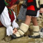 blogging affiliates making money