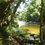 Mossman Gorge Fresh Water Swimming Hole Near Port Douglas