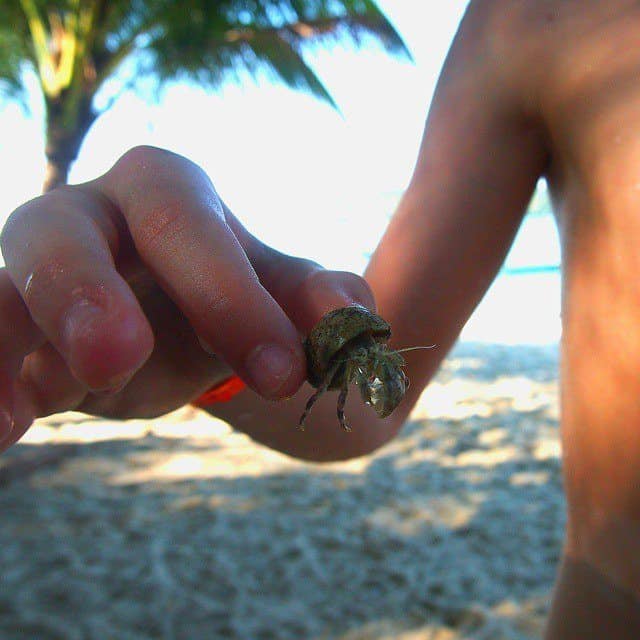 Langkawi boy with crab