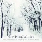 Surviving Winter in Romania Winter Living the dream