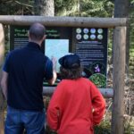 nature walk in transylvania