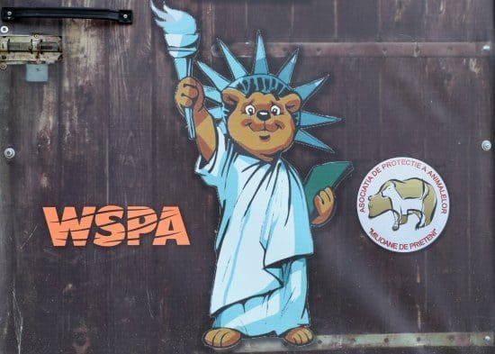 brasov Libearty Bear Sanctuary