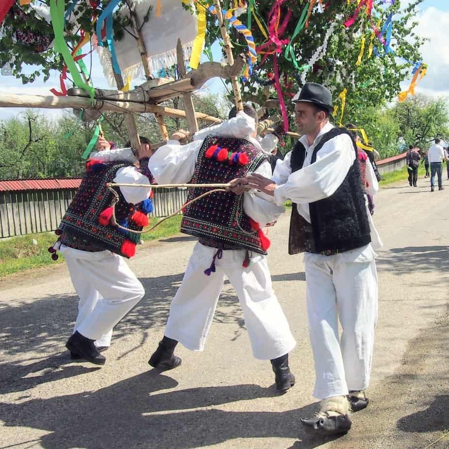 Whipping-the-yolked-men-oxen-in-Hoteni-near-Breb