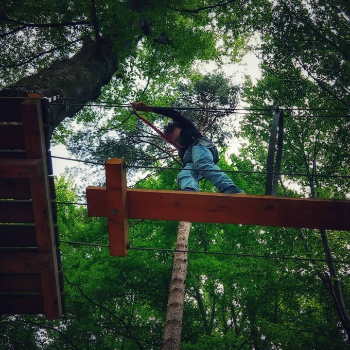 Brasov With Kids Dino World Rasnov older kids