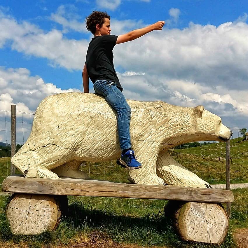 Highland Wildlife Park With Kids Scotland Costs