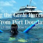 Great Barrier Reef Tours From Port Douglas Visiting the great barrier reef from Port Douglas what's it like and how to book a trip
