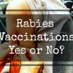 Why We Finally Got Rabies Vaccinations for Travel Are rabies vaccinations necessary for travel