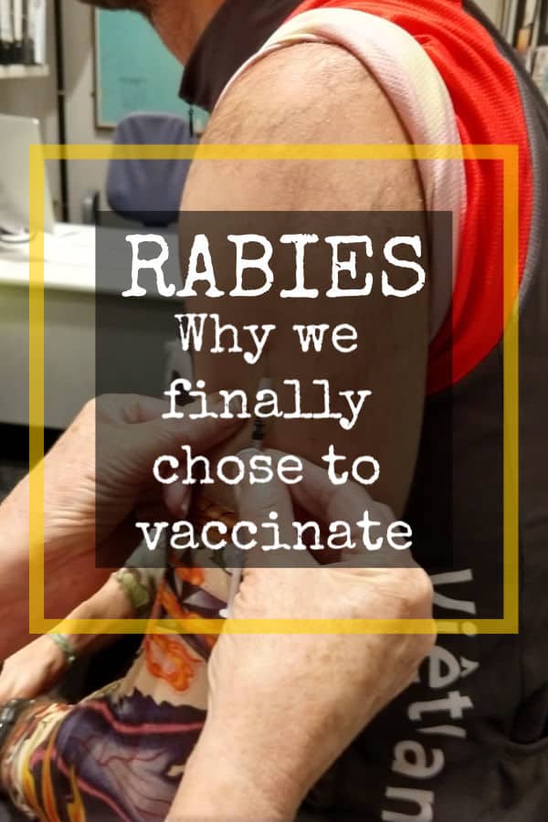 Rabies should we vaccinate or not for travel
