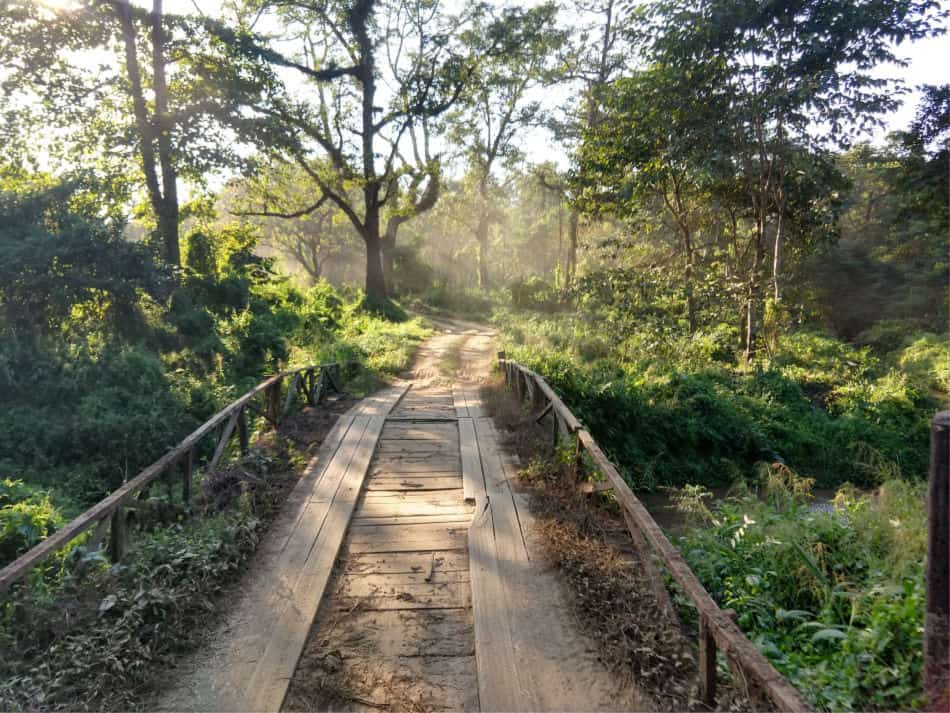 Jeep safari Chitwan National Park Nepal