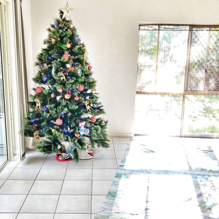 Coming home for Christmas after long term travel