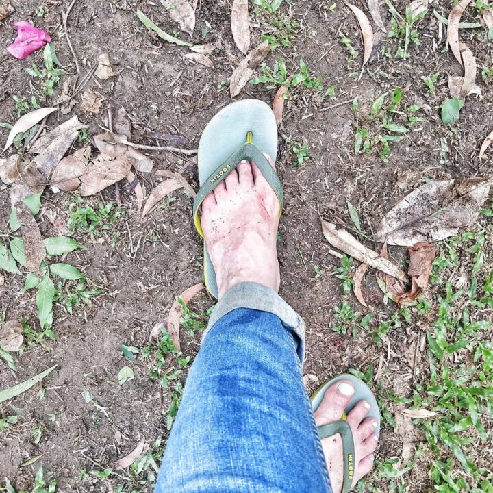 returning to a neglected garden after long term travel