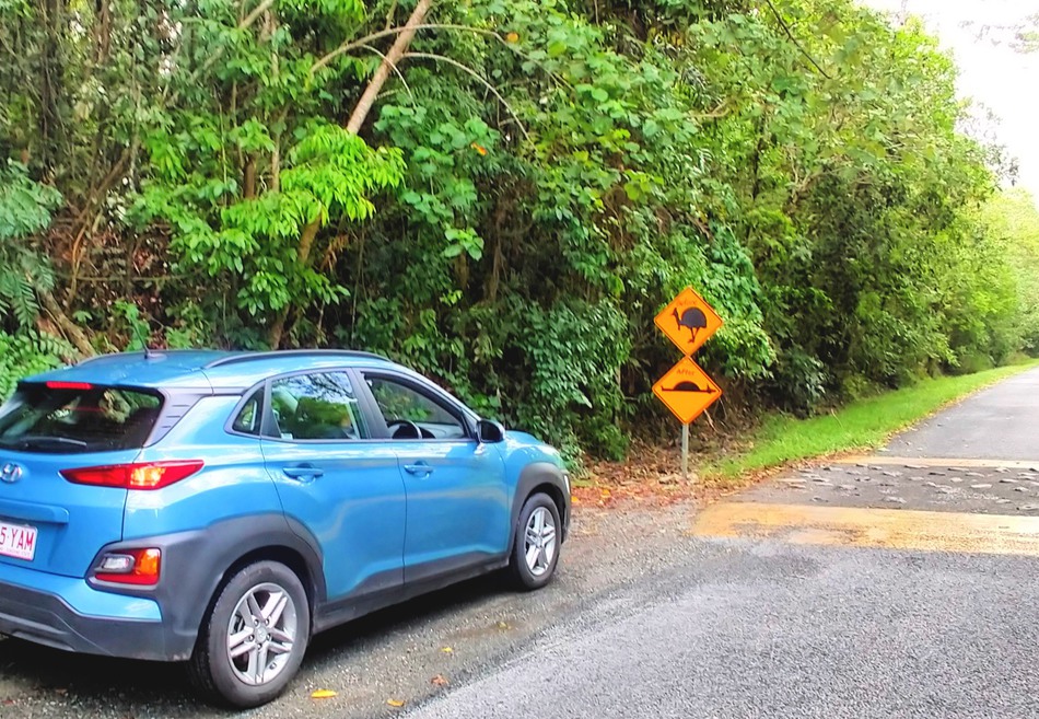 Car Hire Port Douglas