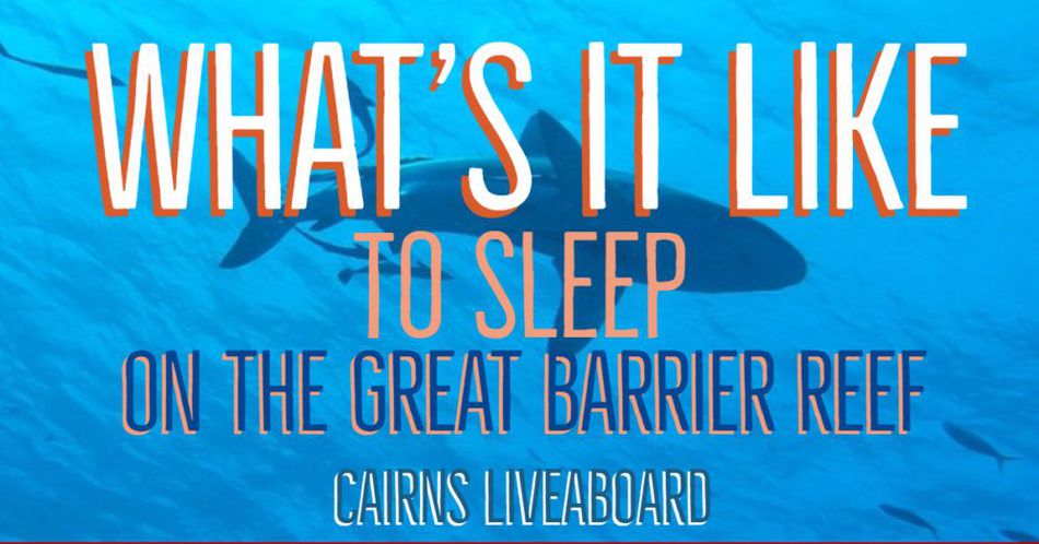liveaboard cairns liveaboard diving australia