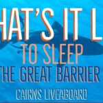 liveaboard cairns liveaboard diving australia