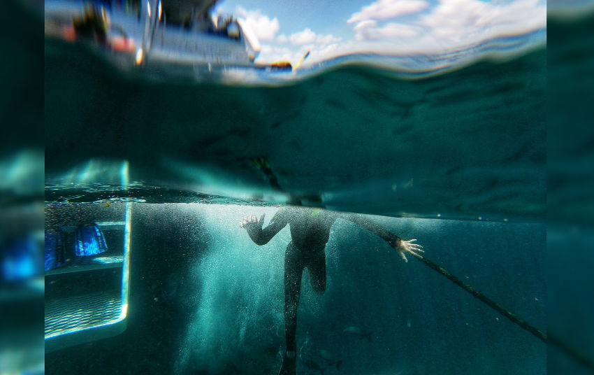 Port Douglas Diving Visibility