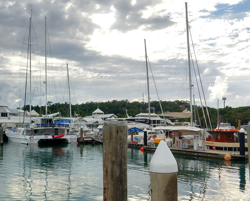 Port Douglas Diving Port Douglas Superyachy Marina. The dive fleet departs Port Douglas from the marina every day