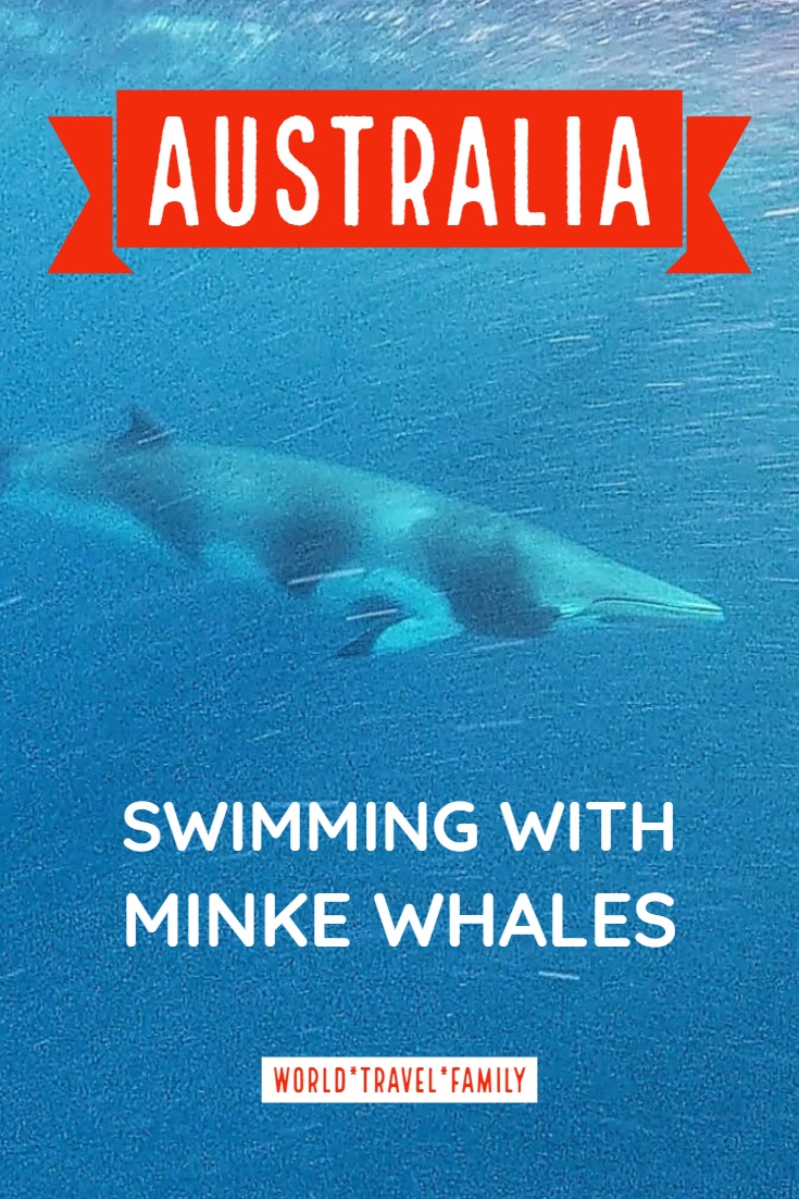 Australia scuba diving swimming with whales