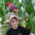 bali with kids child in Bali Indonesia with birds