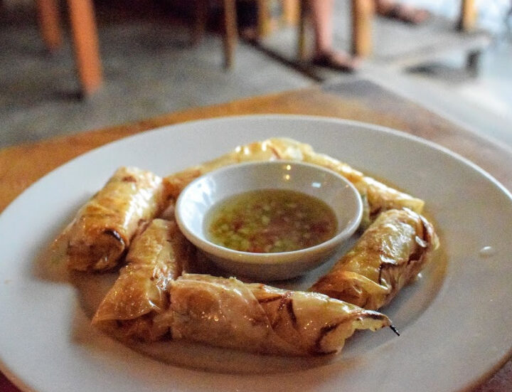 spring rolls food thailand