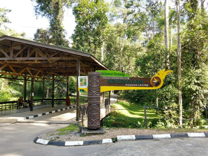 Entrance Semenggoh wildlife centre near kuching
