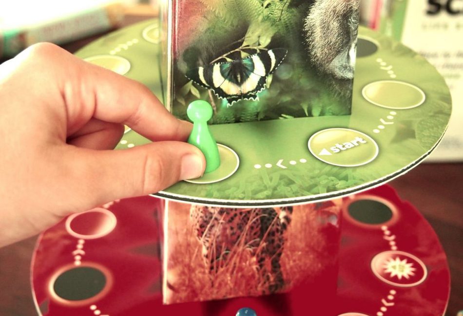 Science educational game Things to do with kids at home off school board games educational