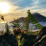 Is it safe to visit Bali during Coronavirus Travel during coronavirus bali hike