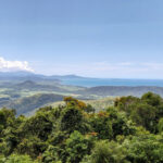 Tropical view of rainforest, beach, and blue sea