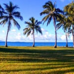 Things To Do in Port Douglas 2024-2025 View of Port Douglas palm trees and Coral Sea from Rex Smeal Park