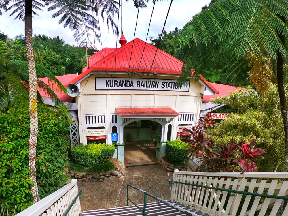 best day trips port douglas kuranda