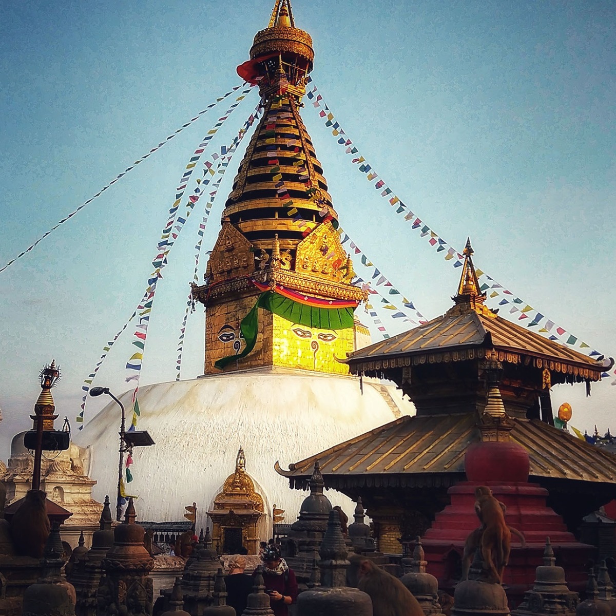 Nepal Icon most famous place