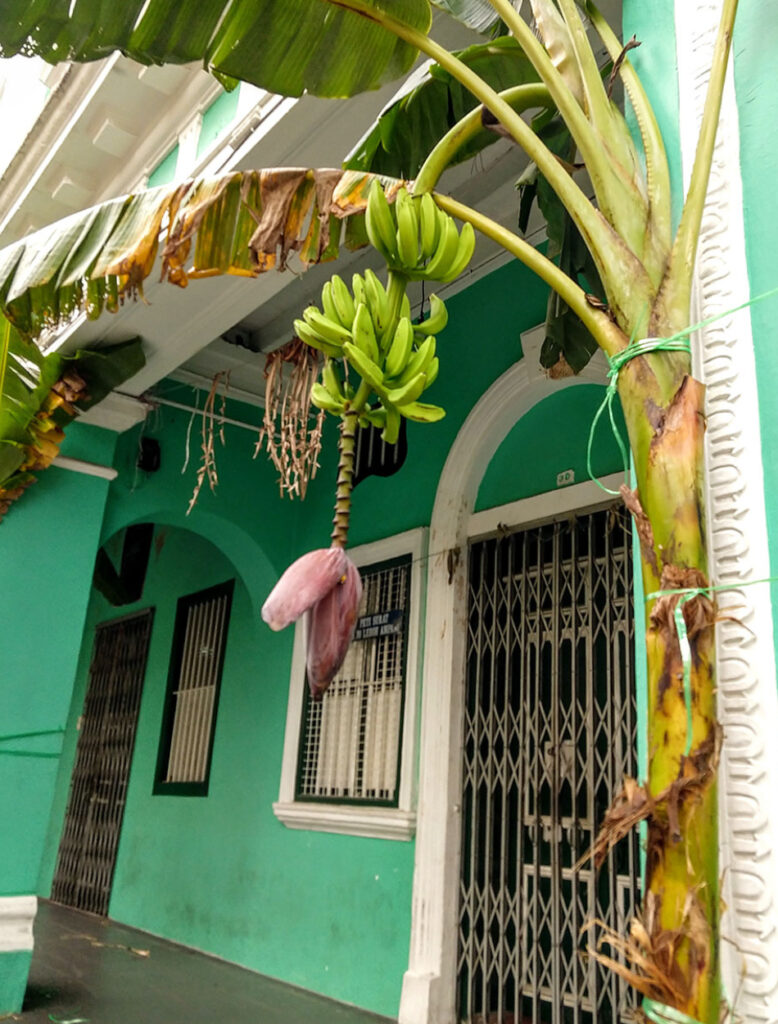 decorations for Thaipusam Kuala Lumpur