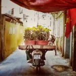 Tet in Vietnam Tet in Vietnam Spring, New Year, Flowers and Vietnamese flags.